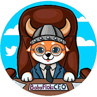 什么是BFLOKIC币?Baby Floki CEO币?工作原理、代币经济学介绍