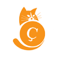 问题:CAT币是什么?猫币代币经济学、价格预测与未来展望
