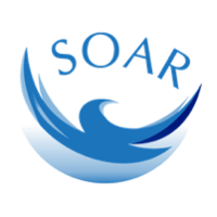 科普：SOAR币好吗？飙升币代币分配与经济模型介绍