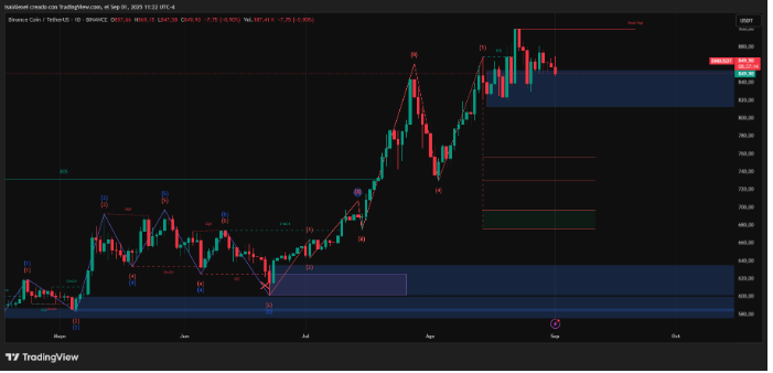817美元的支持和885美元的回收对BNB的下一步行动意味着什么