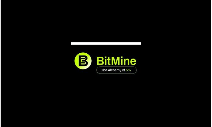 BitMine Immersion （BMNR）董事长Tom Lee的最新视频信息