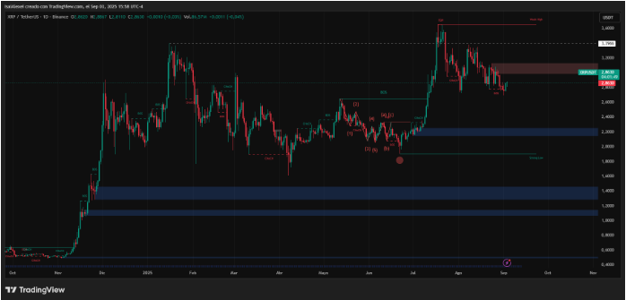 瑞波币分析师勾勒出瑞波币在机构支持下达到100美元的路径