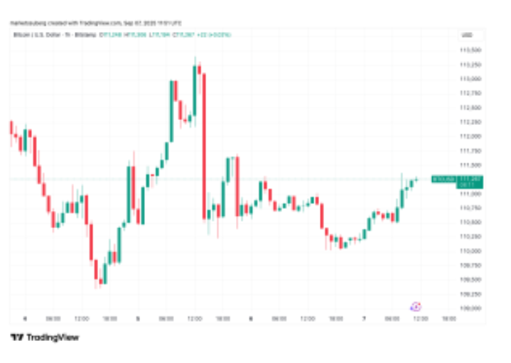 比特币达到113万美元