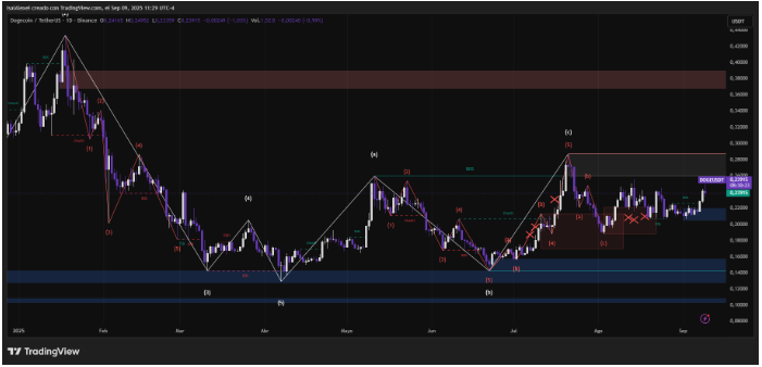 CleanCore 6800万美元的狗狗币赌注动摇了市场