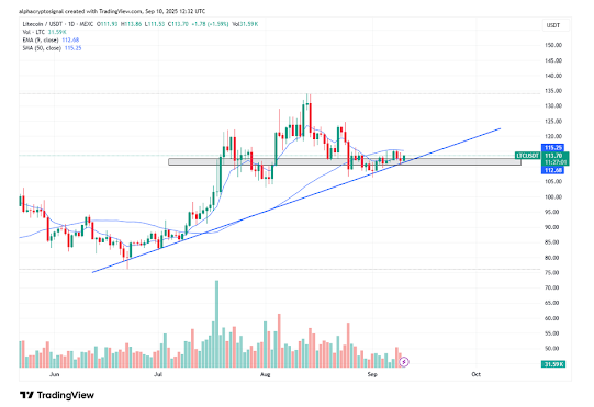 随着牛市135美元的突破，莱特币坚持上升趋势线