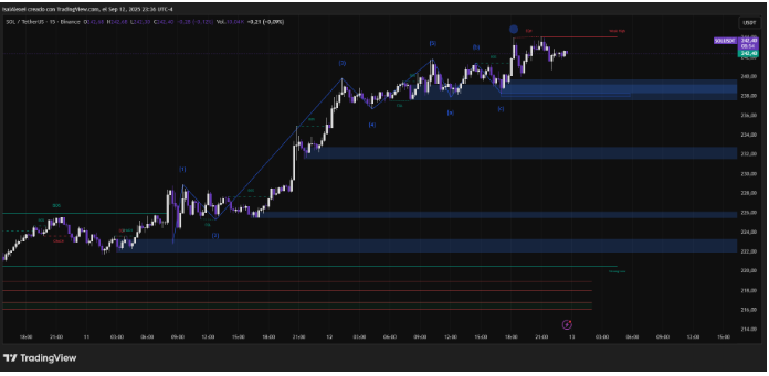 索拉纳正在等待ETF的决定，因为公司正在稳步积累资产净值
