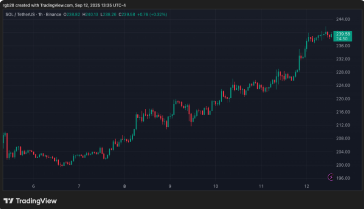 索拉纳在240美元的重新测试中看到了巨大的突破，但分析师发出了关键的市场警告