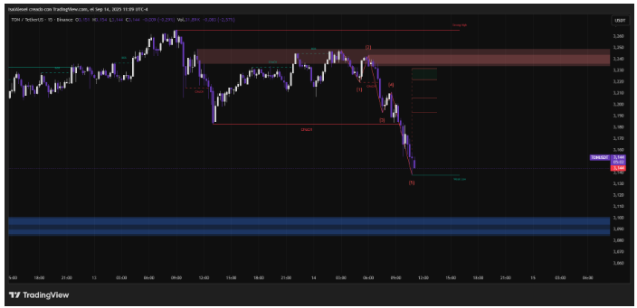TON Strategy的财政部举措如何重新定义纳斯达克上市的加密投资