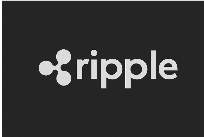 Ripple工程师探索原生XRP股权作为CTO警告深度治理权衡