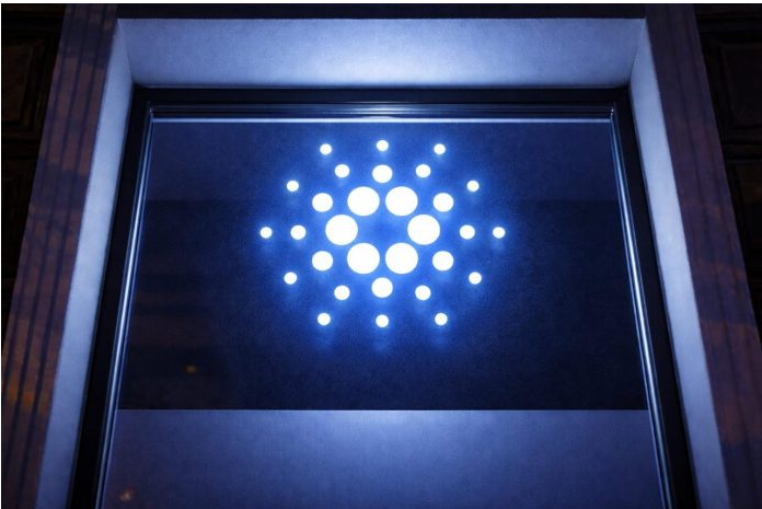 卡达诺基金会二月报告指出，整个生态系统中的机构基础设施正在逐步形成。