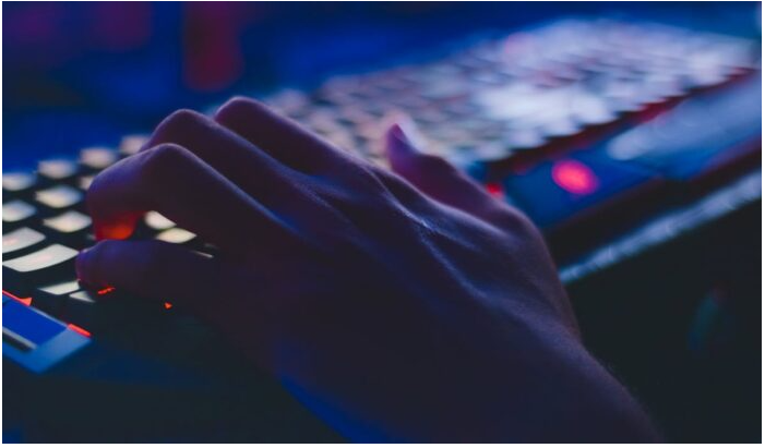 加密技术领域在 12 个月内失去了半数开发者