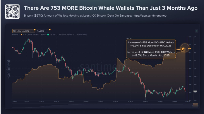 753 个比特币大额钱包在三个月内涌现：同期价格下跌了 20