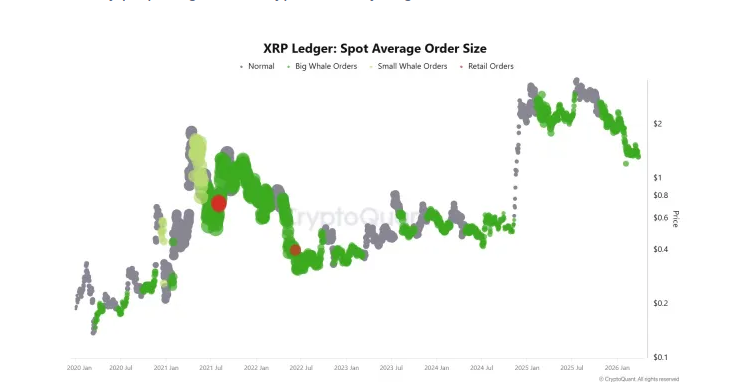 瑞波币鲸鱼再次大量囤积：了解这一趋势为何值得关注的原因吧